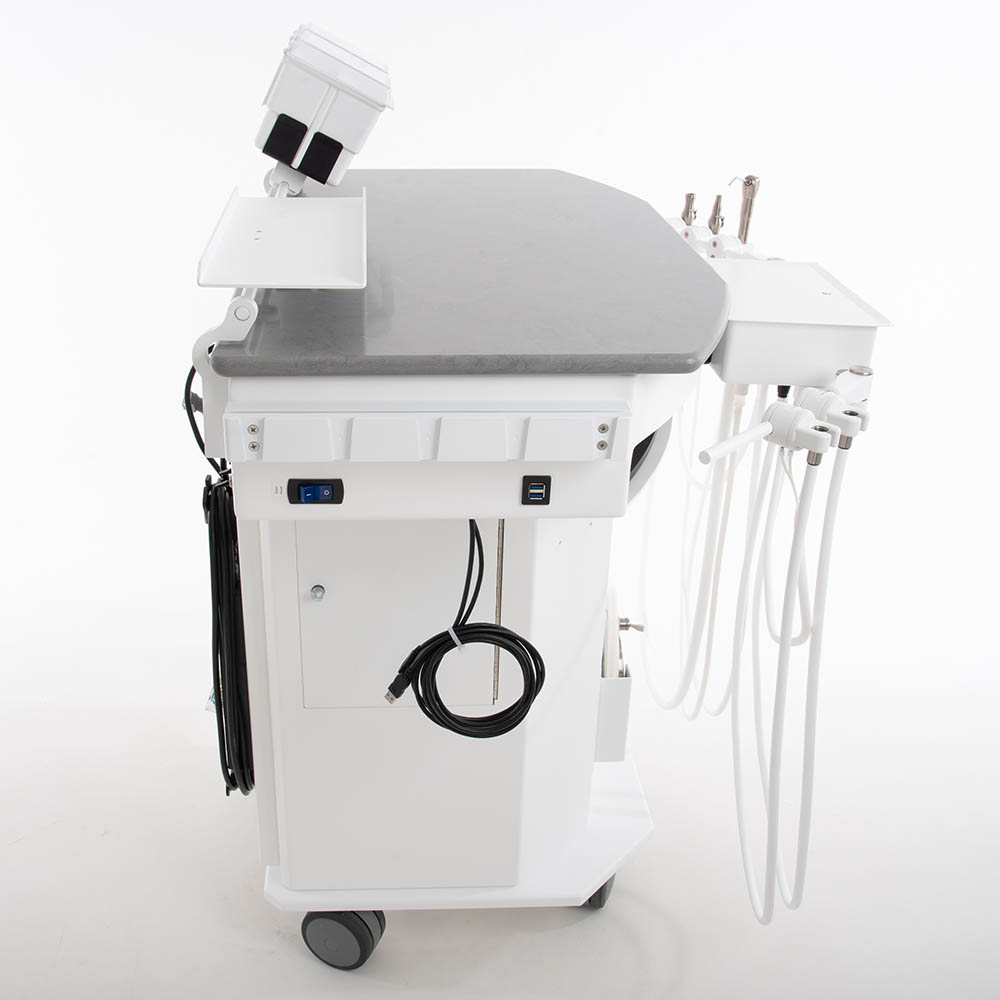 Triton™ Designer Ambidextrous Dental Delivery System – Self Contained