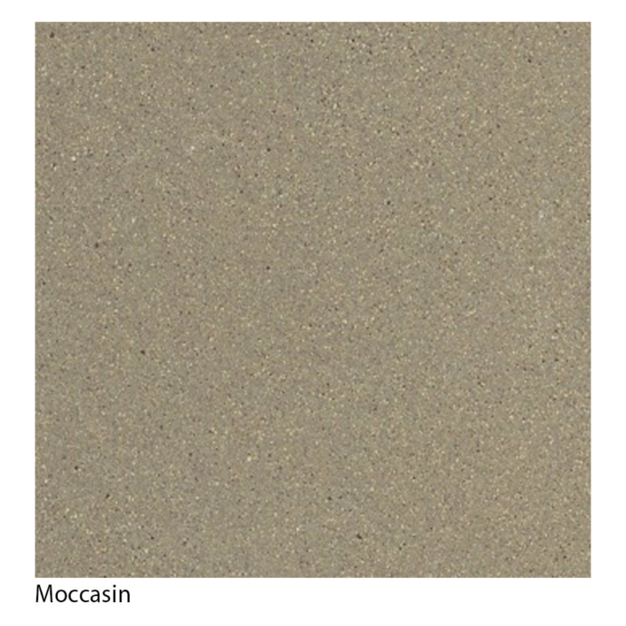 Moccasin